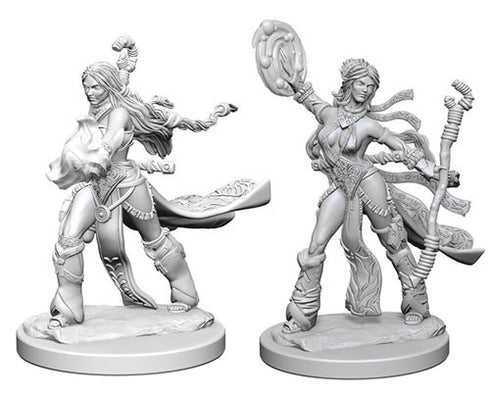 Pathfinder - Unpainted Human Female Sorcerer